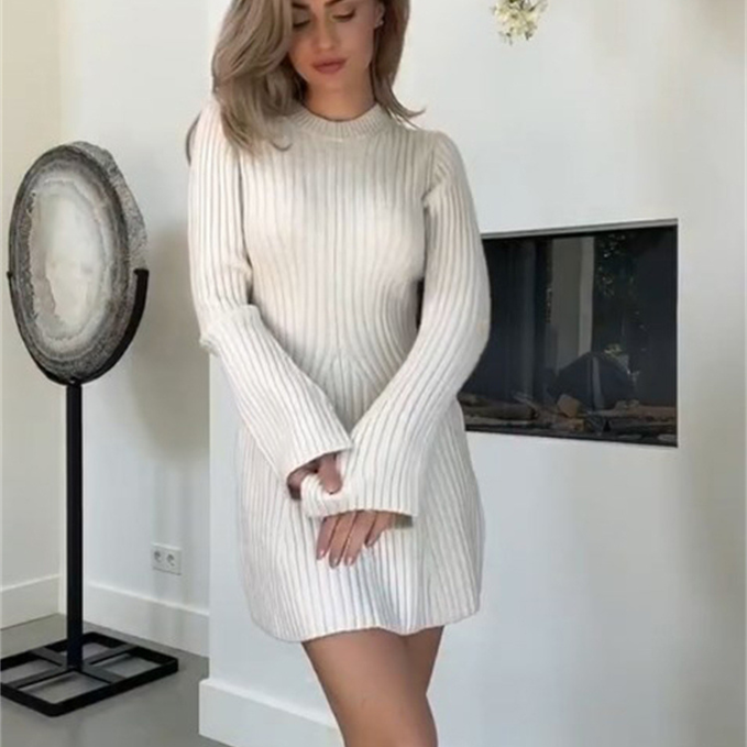Ceren Knitted Knitwear Mini Dress